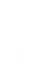 Blooming Media