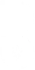 Blooming Media